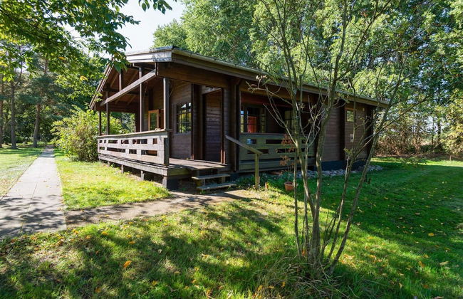 Ferienhaus in Eschede - Foto 23