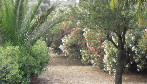 Apartment KoKa - Foto 3, Garden