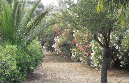 Apartment KoKa - Foto 3