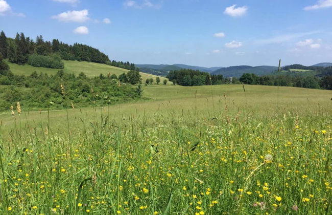 Apartment in Heringhausen Near Ski Lift - Photo 26