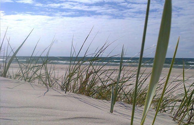 Fantastic House, Located Among Meadows and Nature, Near the Sea - Photo 58