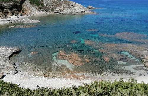 Le Palme Holidays - Foto 79