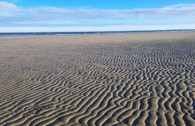 Boutique Bungalow in Insel Poel With Terrace - Photo 67