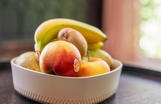 Luxury Chalet Near Ouddorp With Garden - Photo 22