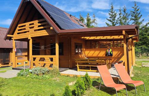 Domki Borowiackie nad brzegiem jeziora - Foto 35