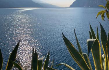 Le peonie - Photo 39