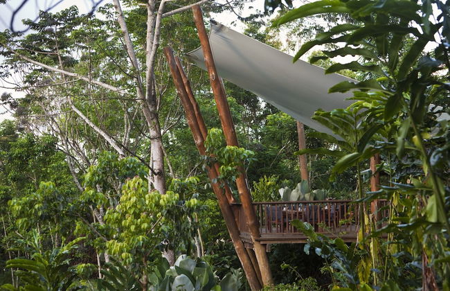 Rose Gums Wilderness Retreat - Foto 33