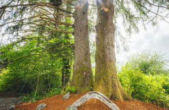 Riverfront winter wonderland retreat-Centrally located in the Olympic National Park - Foto 31