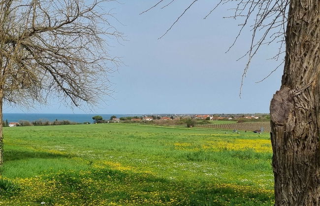 Spacious Urban Retreat Apartment With Terrace - Foto 43