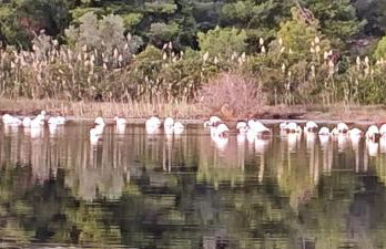 Villa Alex - Foto 74