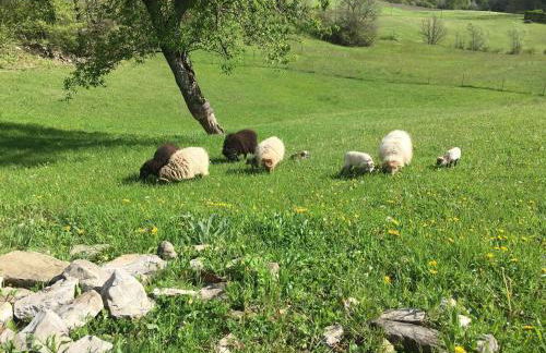 Casa CampoSelvatico - Foto 37