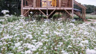 Dihan Evasion - Foto 5, Garden view