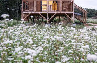 Dihan Evasion - Foto 5