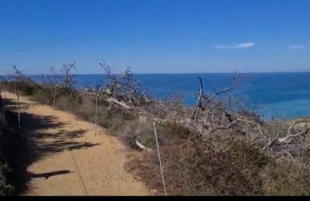 Guesthouse in Coastal Del Mar, California - Foto 53