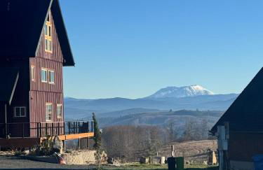 Welcome to Raven Ridge Lodge - where time slows - Photo 75