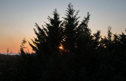 Villa Tresino Appartamenti - Foto 9