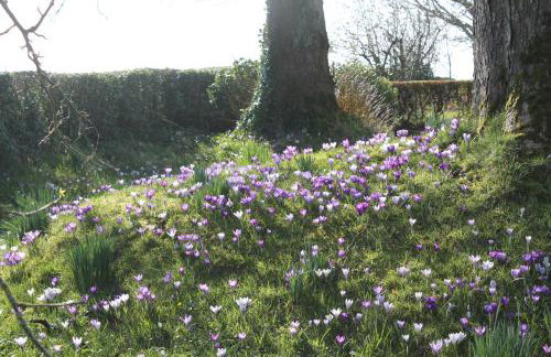 Ballyhargan Farm House - Foto 30