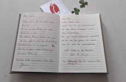 Kleiner Fuchs - Foto 13