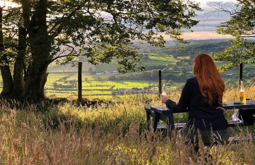 Coedmor Cottages - Foto 21