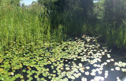 Entre mer et mer - Foto 23