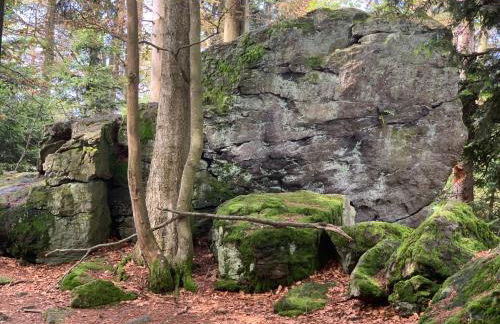 Bayerwaldnest - Foto 35