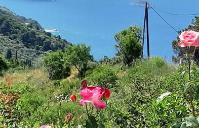 Villa Lemonia - Foto 2