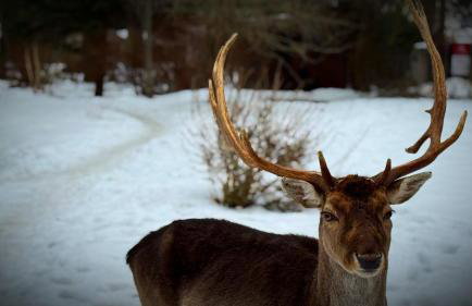 Mazurski Apartament - Foto 16