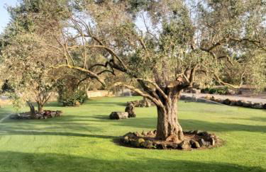 Su Sattisceddu - Foto 1