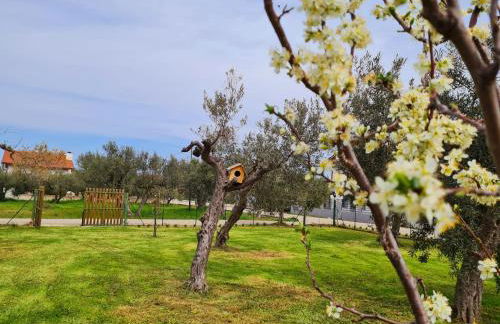 Casa Vacanza Il Giardino del Sole Treglio - Foto 15
