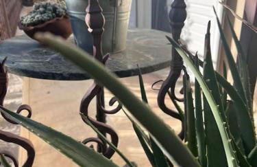 Kosta's elegant house - Foto 13