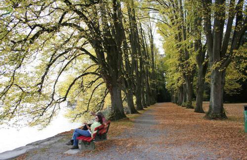 Ferienhof Schöngarten, Sonja & Stefan Büchele GbR - Foto 8
