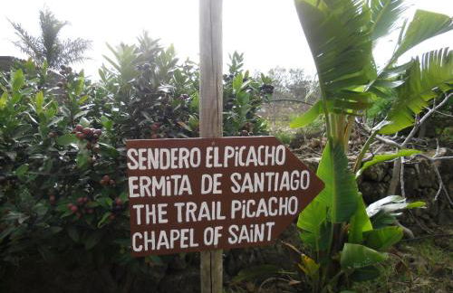 Finca El Picacho Apartments in the countryside 2 Km from the beach - Foto 41