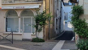 Le murier ensoleillé - Photo 3