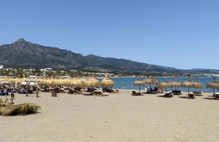 Blue Lady by the Sea - Photo 58