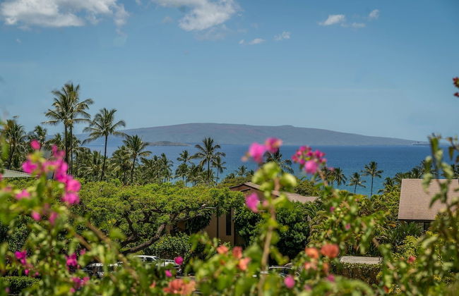 Wailea Ekahi - Foto 35