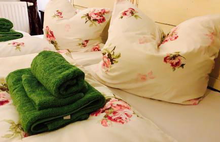 Ferienwohnung und Pension Goldberg - Foto 29