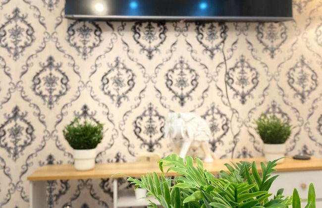 Caribbean Golf - Foto 11