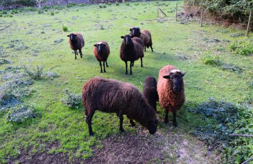 Solar Arco de São Jorge - Foto 25