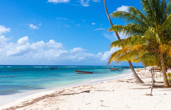 Saona Island Beach Excursion - Foto 2