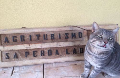 Sa Perda Lada - Foto 1