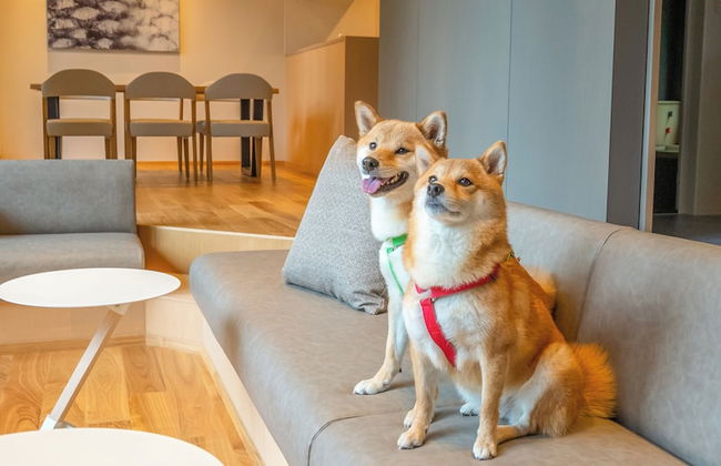 Rakuten STAY VILLA Aso Kurokawa - Foto 40