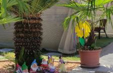 Casa SveTik - Foto 8