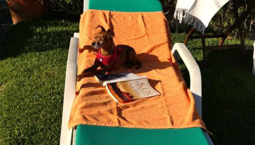 Casa da Bonança Ofir - Foto 3