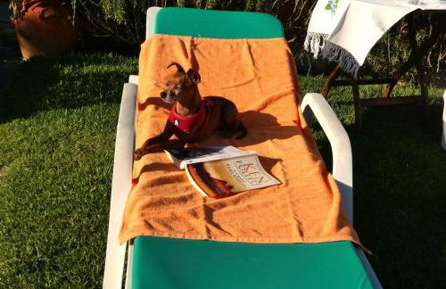 Casa da Bonança Ofir - Foto 3