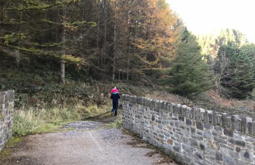 Afan forest-Cregan Cottage-Pet friendly - Foto 15