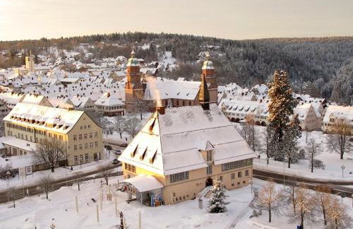 MARKT14 City Apartment Marktplatz Freundenstadt - Foto 4