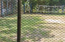 Sitio na floresta px a Belém - Photo 5