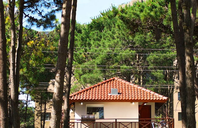 suites del bosque - Foto 2