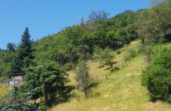 Art Apartment - Harz - Foto 58