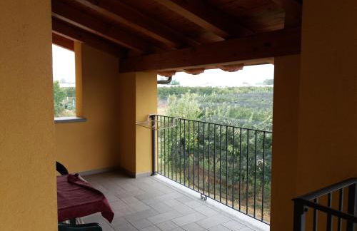 Agriturismo Fior Di Campo - Foto 58